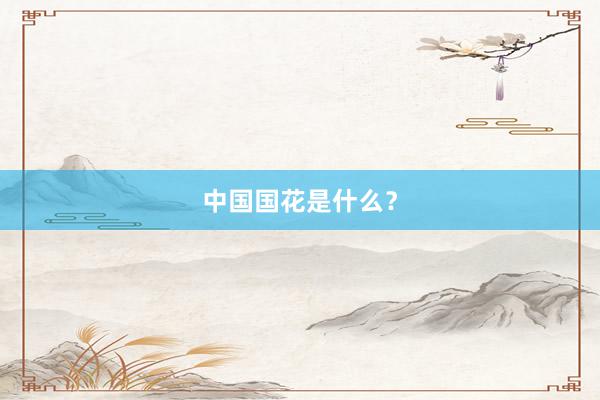 中国国花是什么？