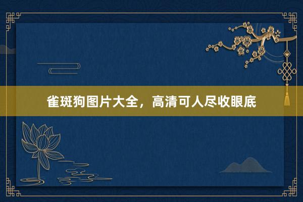 雀斑狗图片大全，高清可人尽收眼底