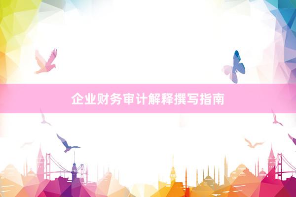 企业财务审计解释撰写指南