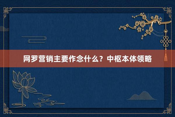 网罗营销主要作念什么？中枢本体领略